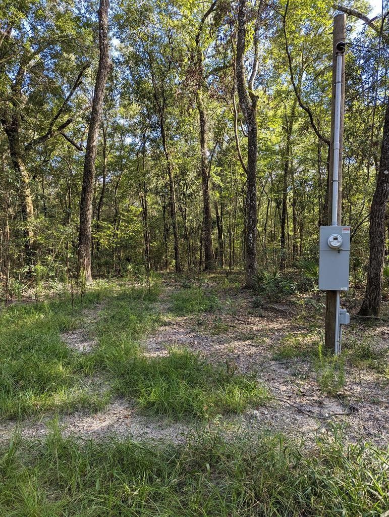 Bell, Gilchrist County, FL Undeveloped Land, Homesites for sale