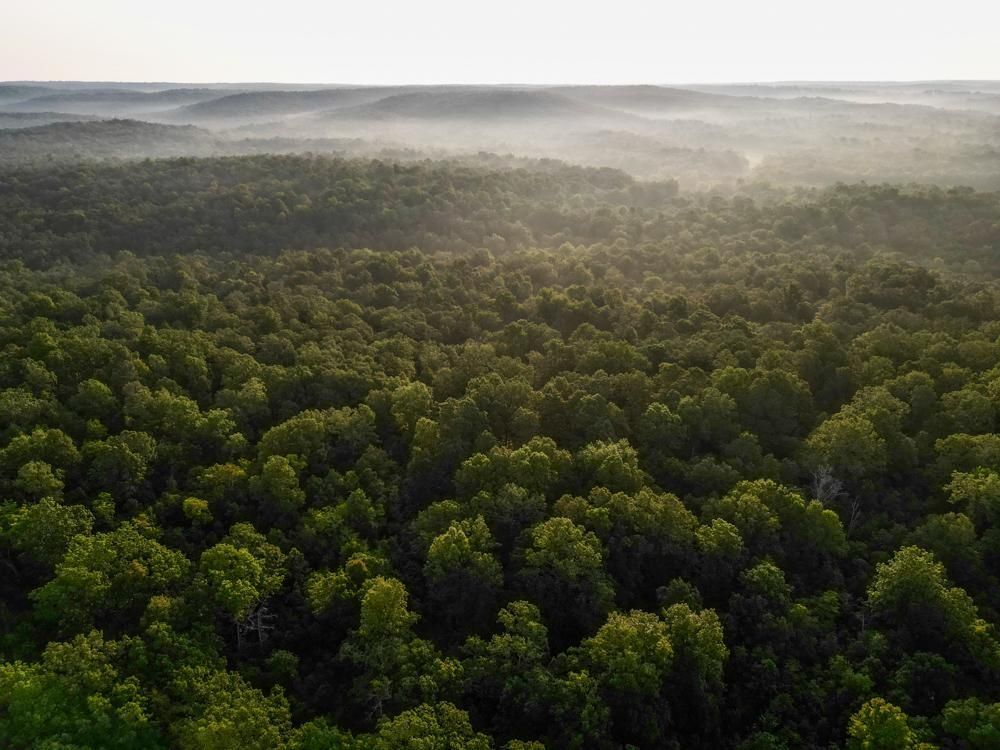 TBD Pleasant Ridge Rd, Poughkeepsie, AR 72569 MLS Sharp 158 LandWatch