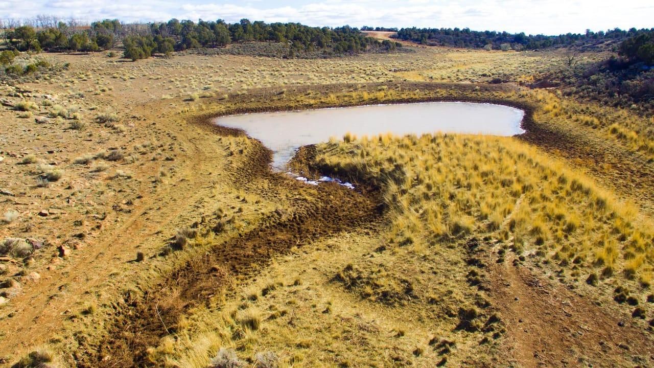 Dove Creek, Dolores County, CO Farms and Ranches, Hunting Property for