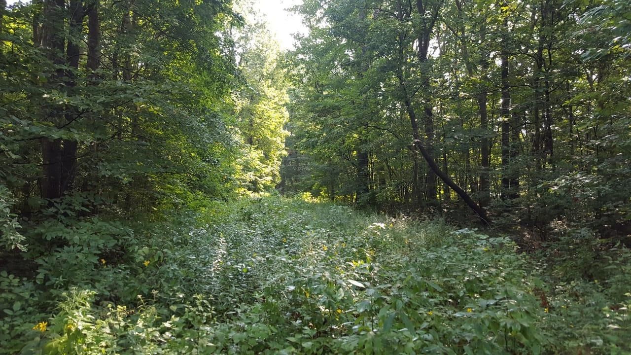 West Terre Haute, Vigo County, IN Undeveloped Land, Homesites for sale