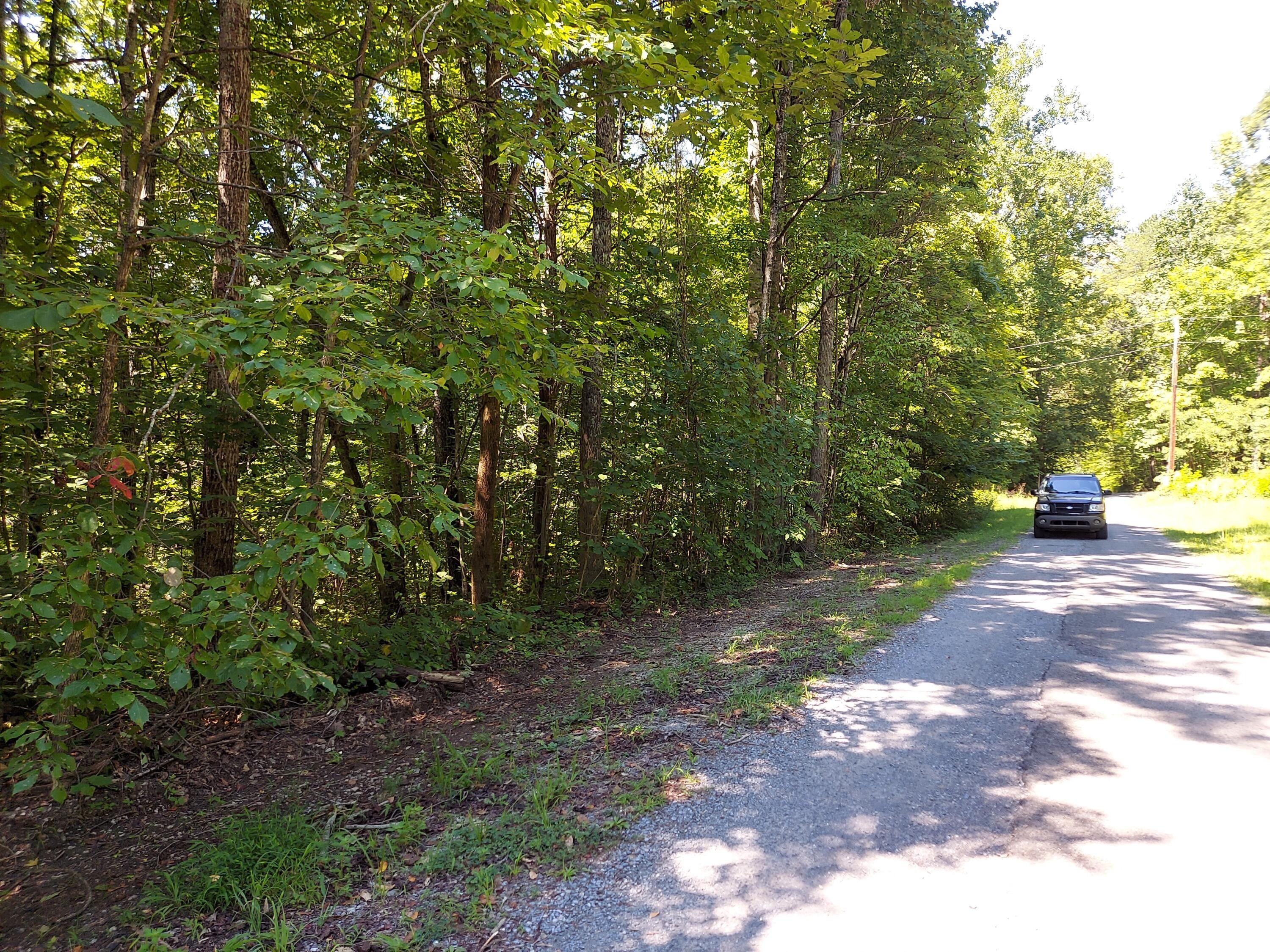 Newport, Cocke County, TN Undeveloped Land, Homesites for sale Property