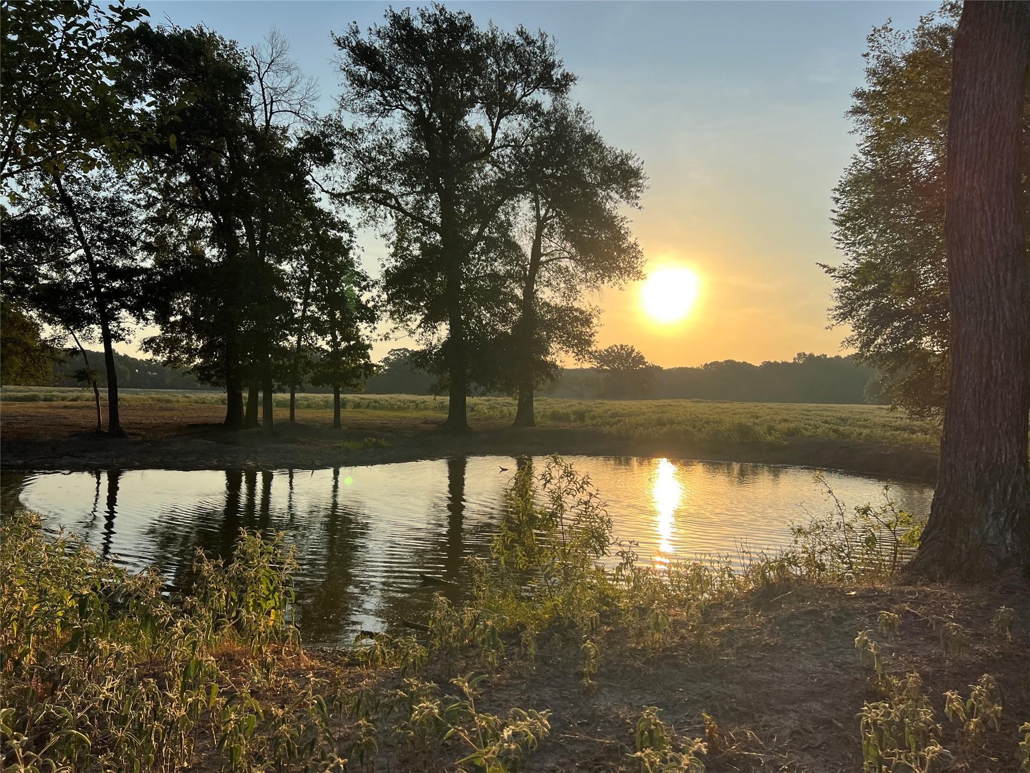 Commerce, Hunt County, TX Farms and Ranches, Recreational Property, Horse Property for sale