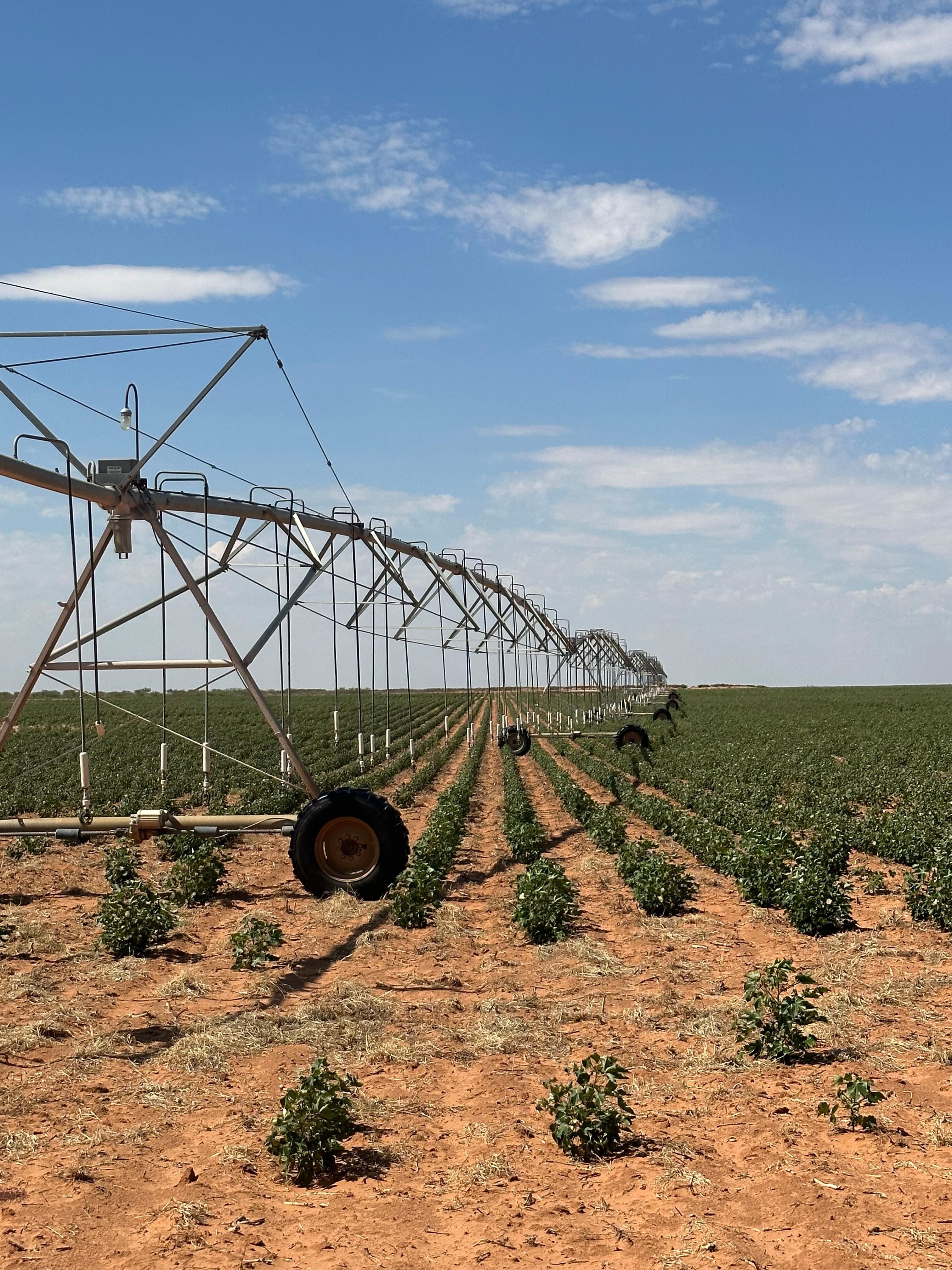 Seminole, Gaines County, TX Farms and Ranches for sale Property ID