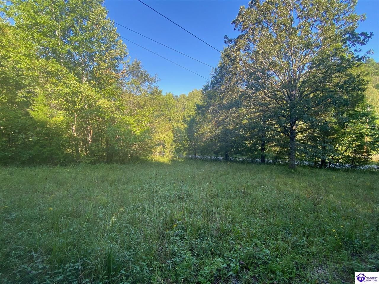 Battletown, Meade County, KY Undeveloped Land for sale Property ID