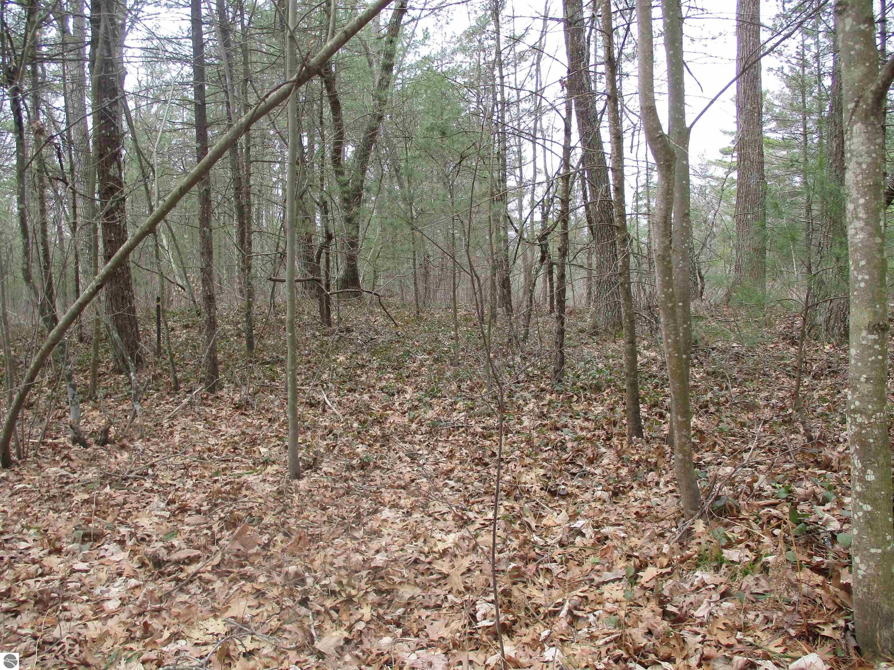Oscoda, Iosco County, MI Undeveloped Land, Lakefront Property