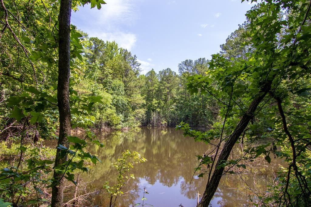 Hamilton, Harris County, GA Homesites for sale Property ID 417562945