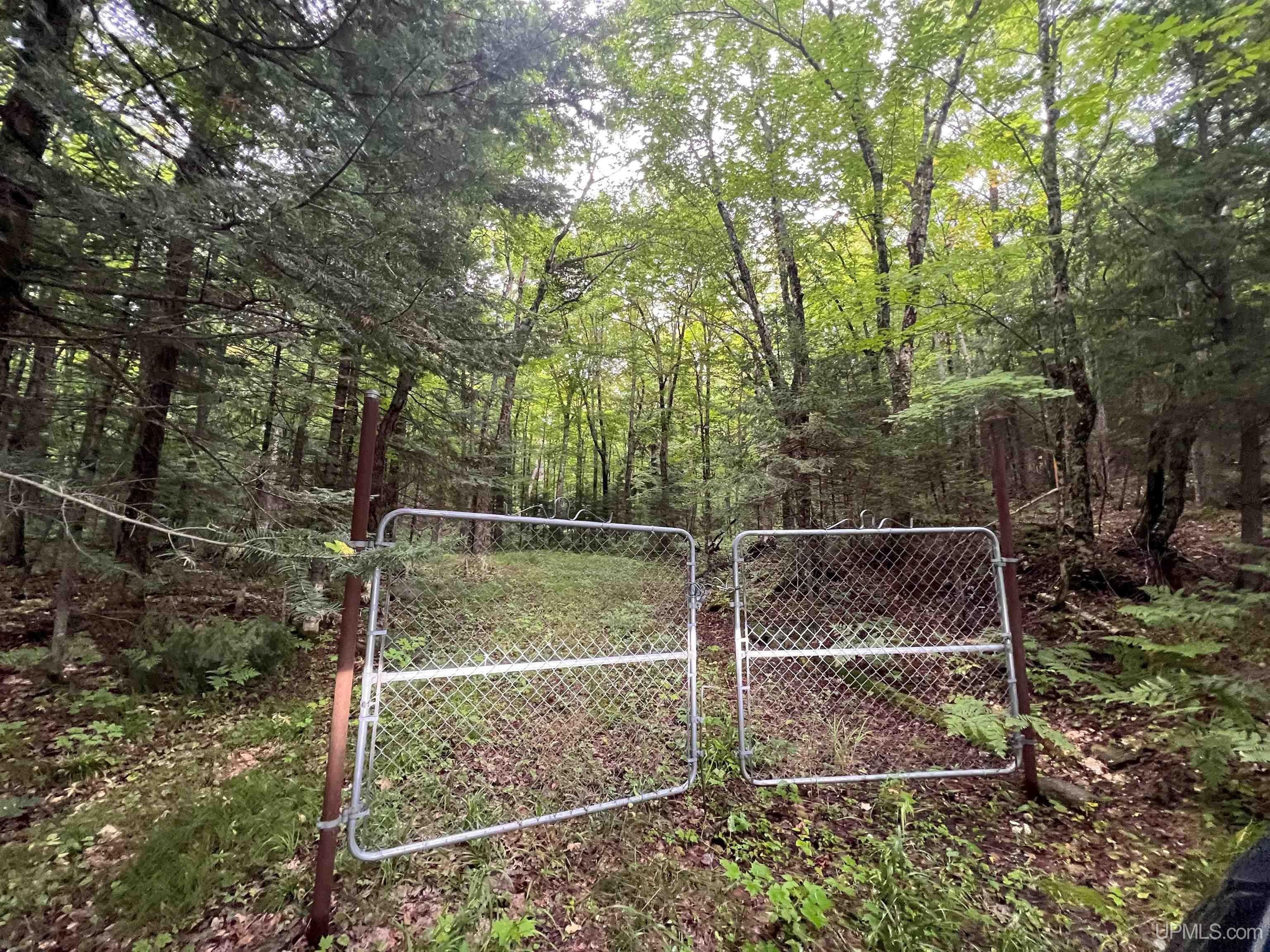 Watersmeet, Gogebic County, MI Undeveloped Land, Homesites for sale