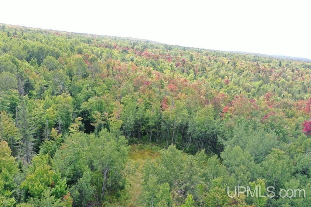 Marenisco, Gogebic County, MI Undeveloped Land for sale Property ID