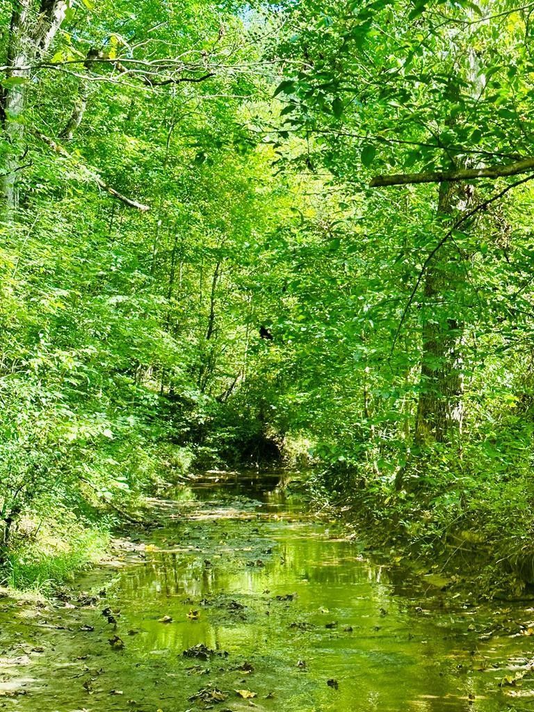 Gunlock, Magoffin County, KY Undeveloped Land for sale Property ID