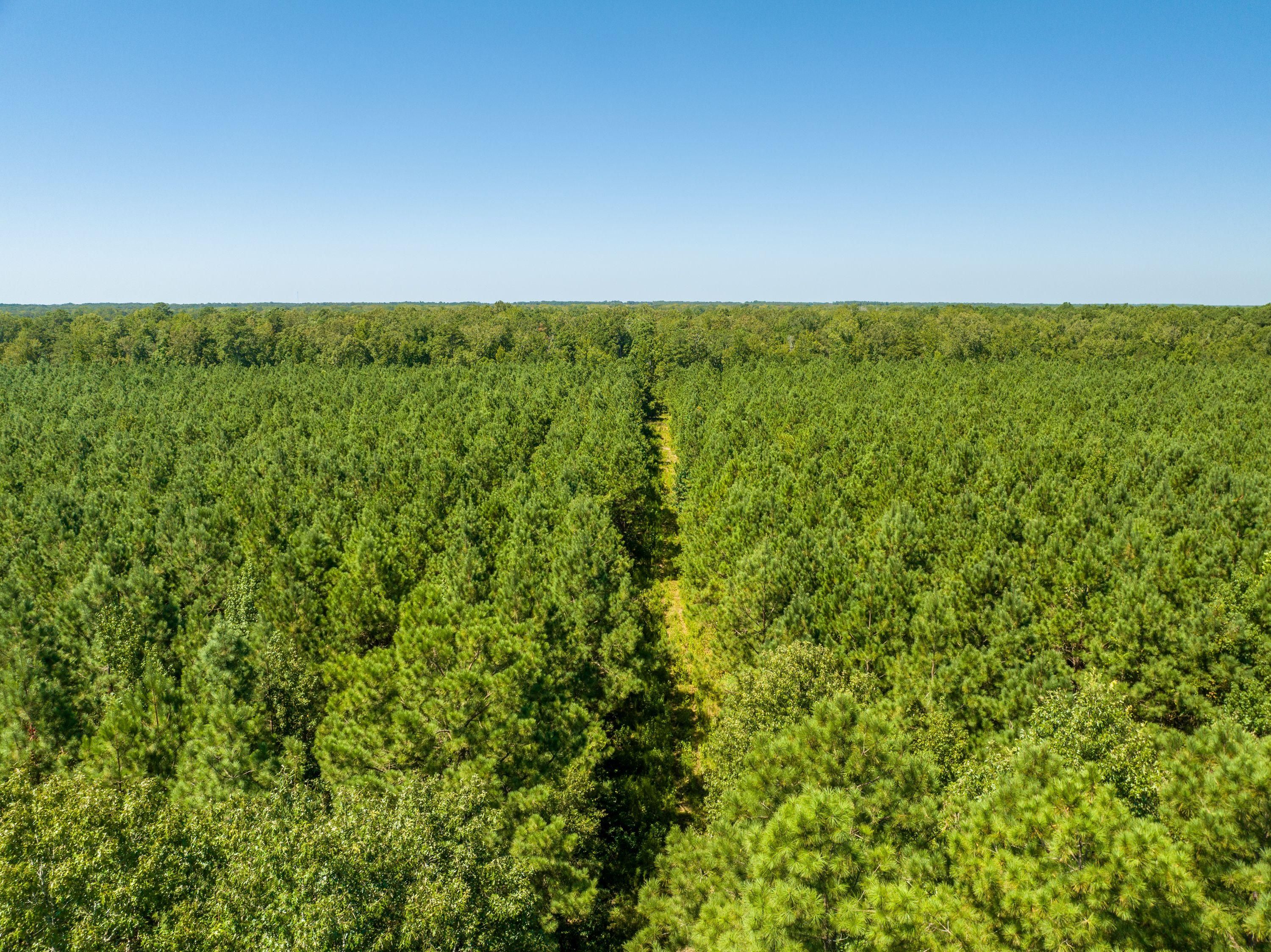 387 Sullivan Rd, Wilmar, AR 71675 LandWatch