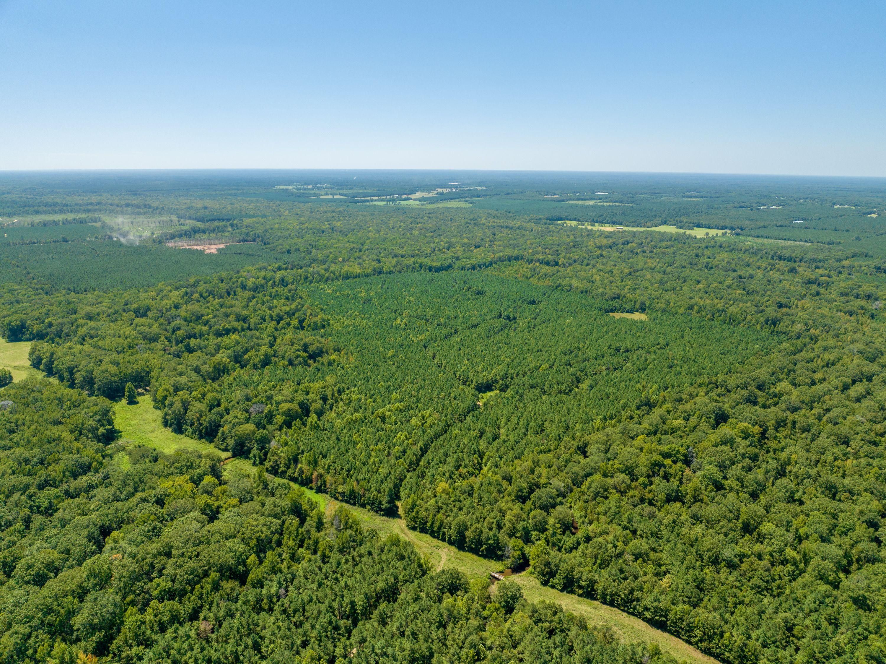 Wilmar, Lincoln County, AR Recreational Property, Timberland Property, Hunting Property for