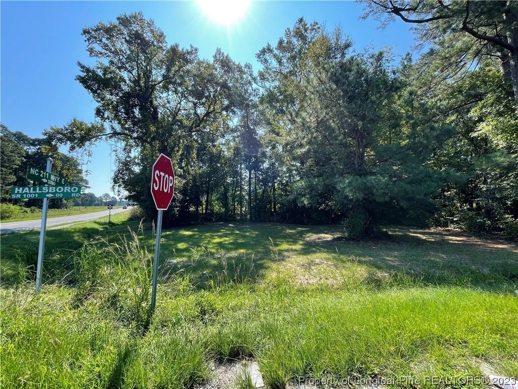 Hallsboro Road, Clarkton, NC 28433 MLS 711747 LandWatch