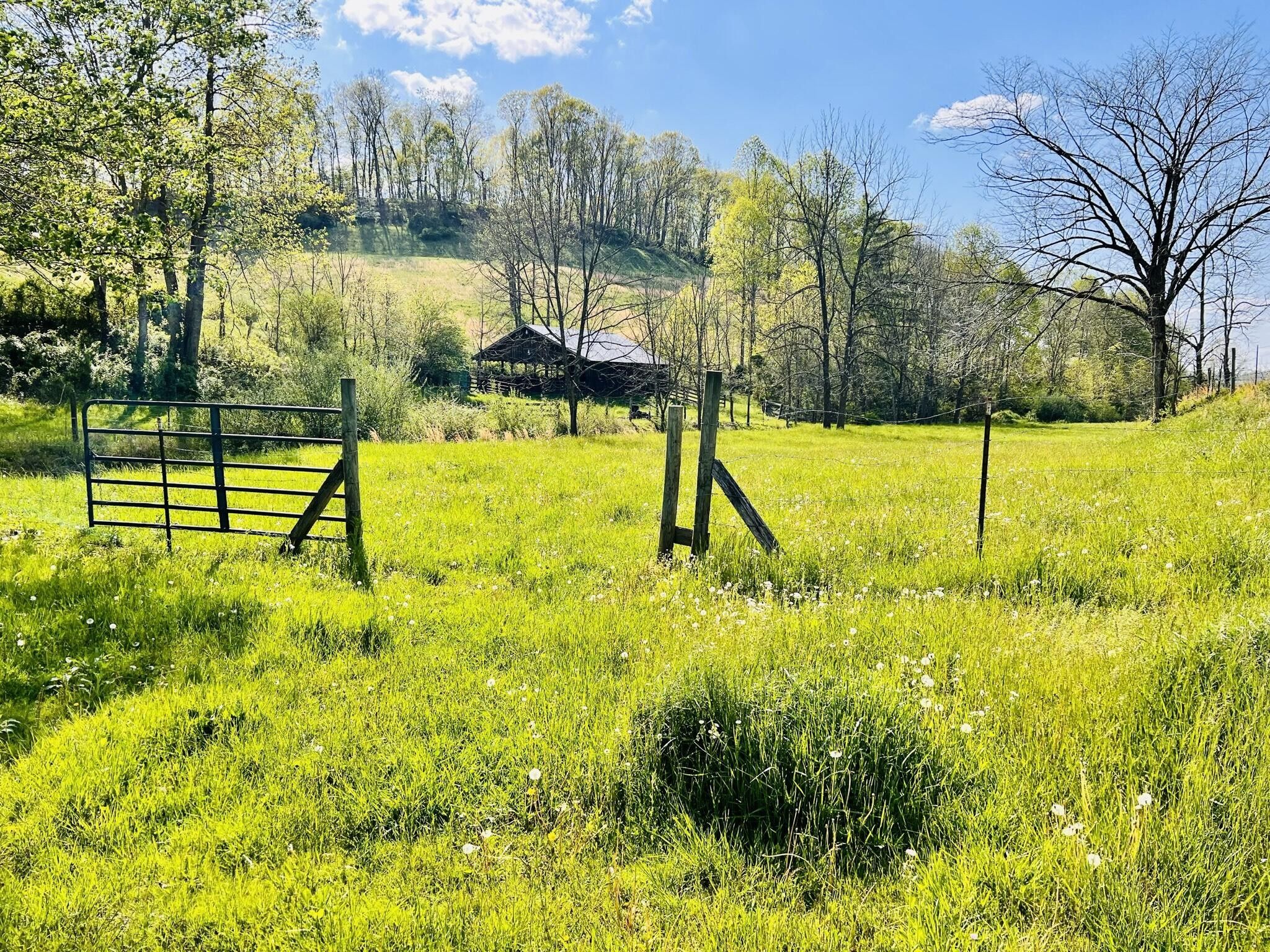 Ezel, County, KY Farms and Ranches, House for sale Property ID