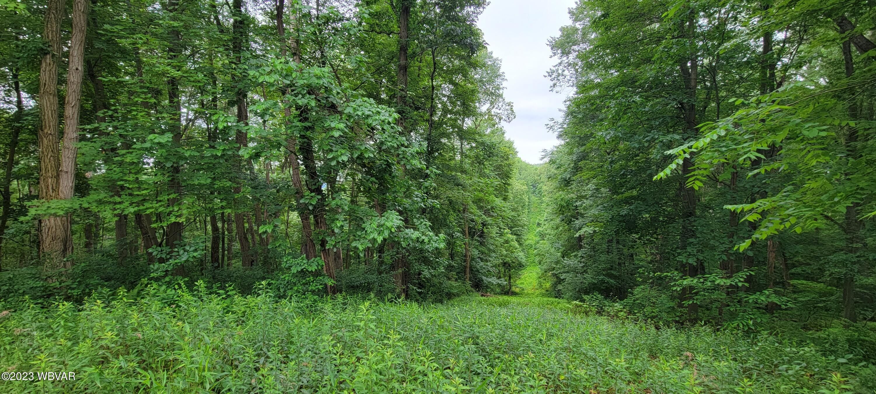 Montoursville, County, PA Undeveloped Land for sale Property