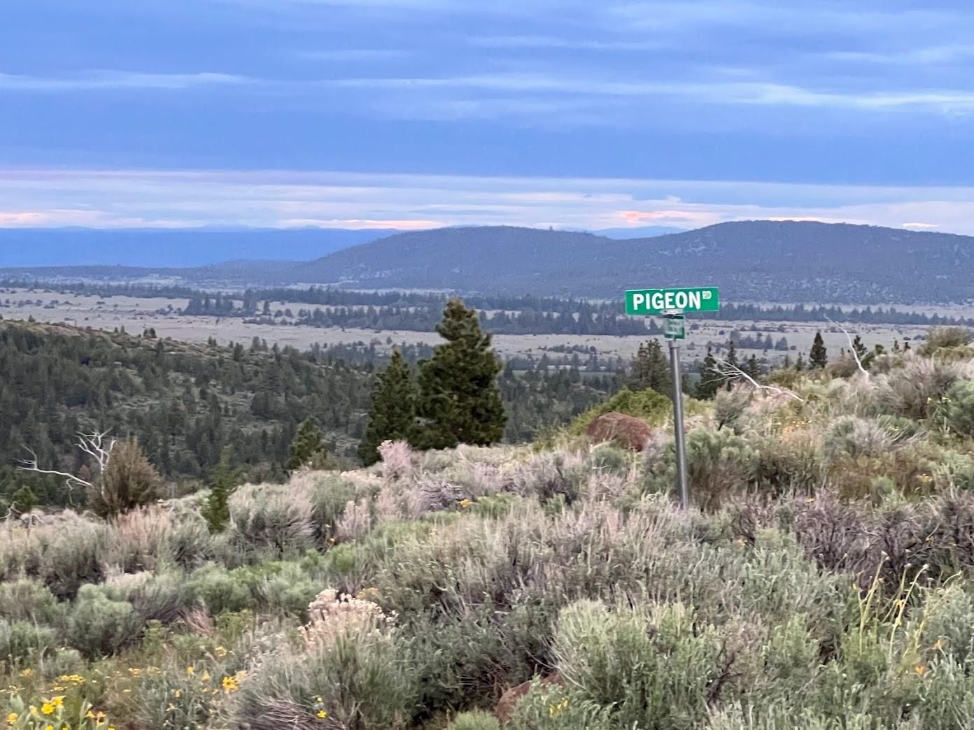 Alturas, Modoc County, CA Recreational Property, Undeveloped Land