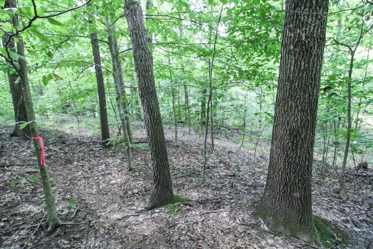Coshocton, Coshocton County, OH Recreational Property, Homesites for