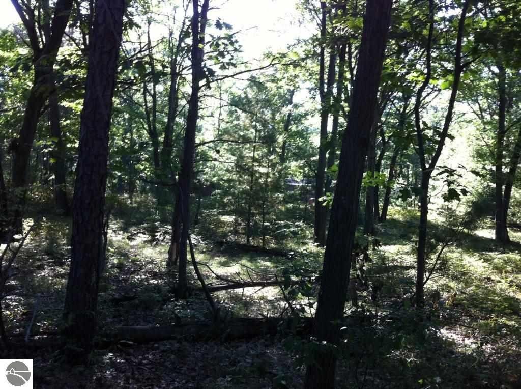 Au Gres, Arenac County, MI Undeveloped Land, Lakefront Property