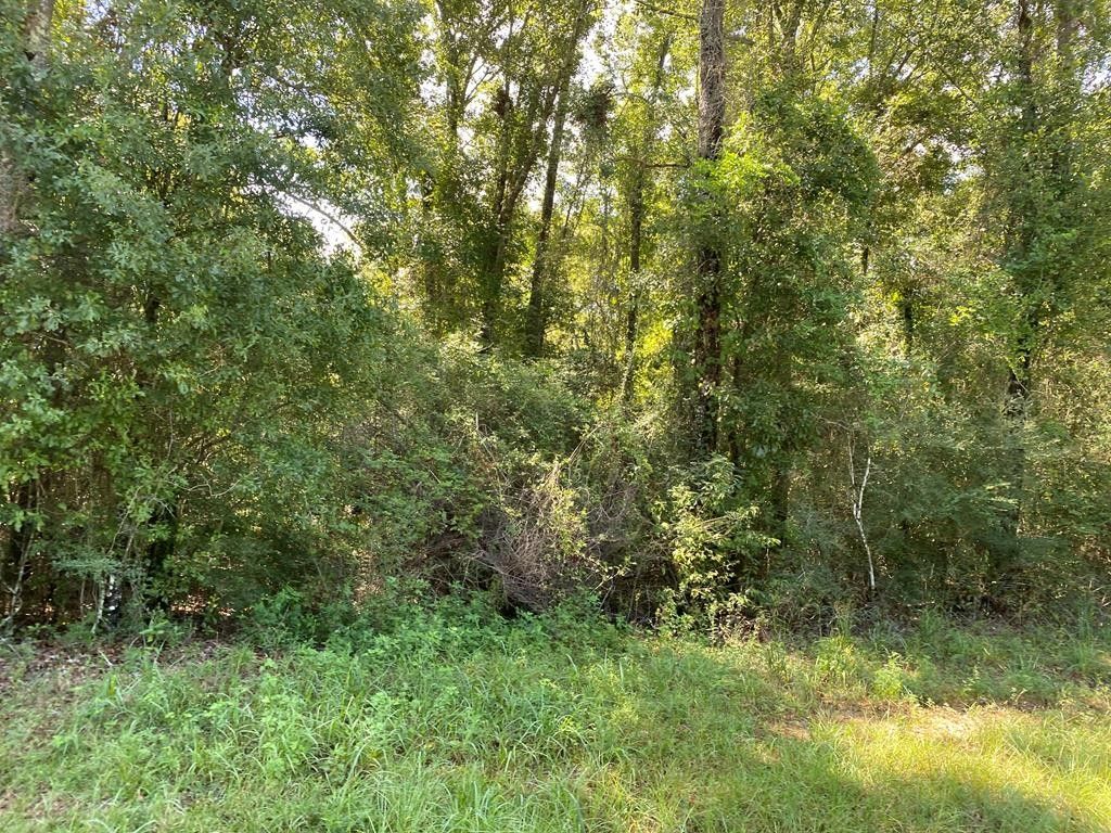 Picayune, Pearl River County, MS Undeveloped Land, Homesites for sale
