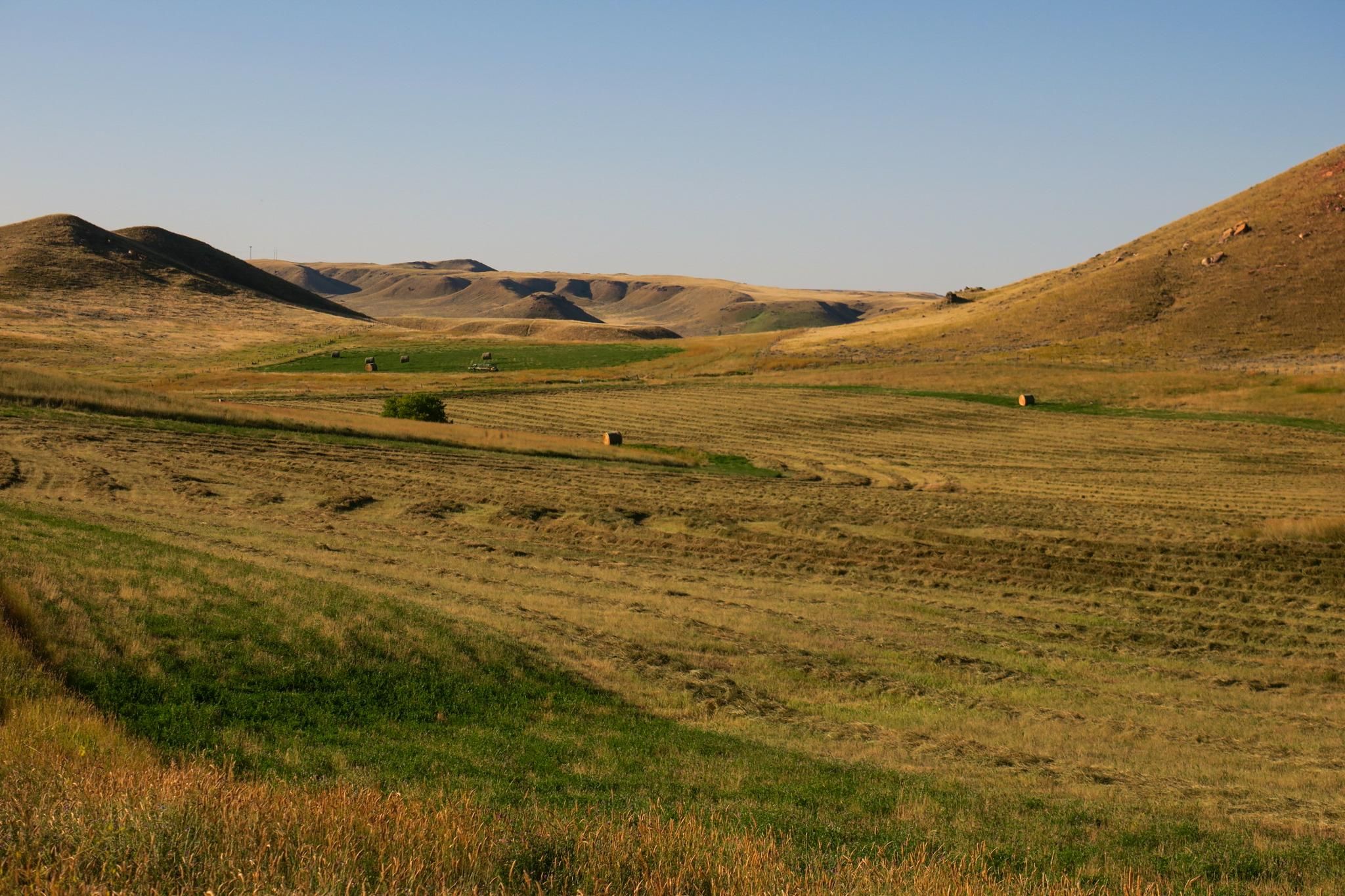 319 Kumor Road, Buffalo, WY 82834 MLS Wohlbrandt Ranch LandWatch