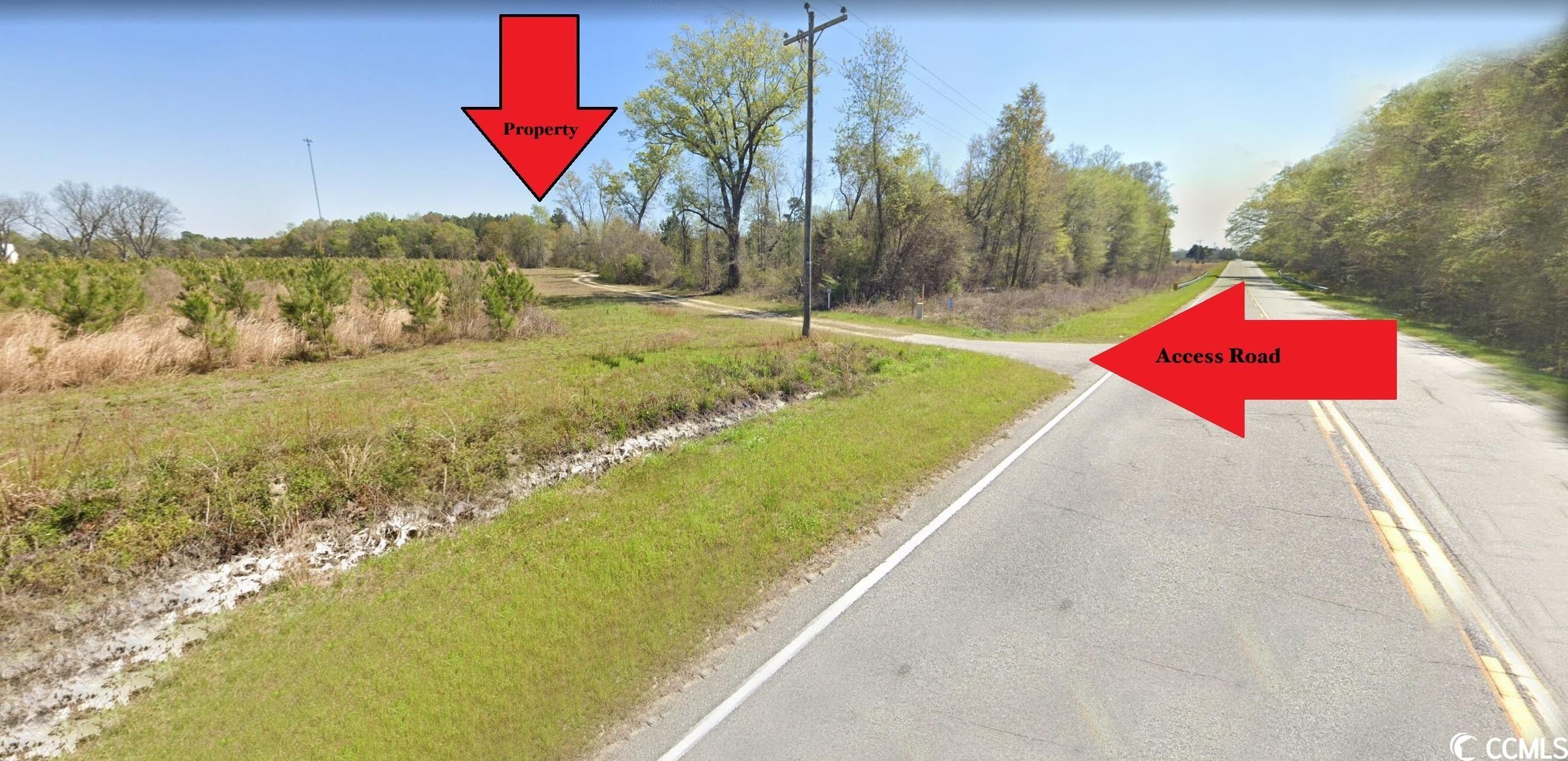 Greeleyville, Williamsburg County, SC Undeveloped Land for sale