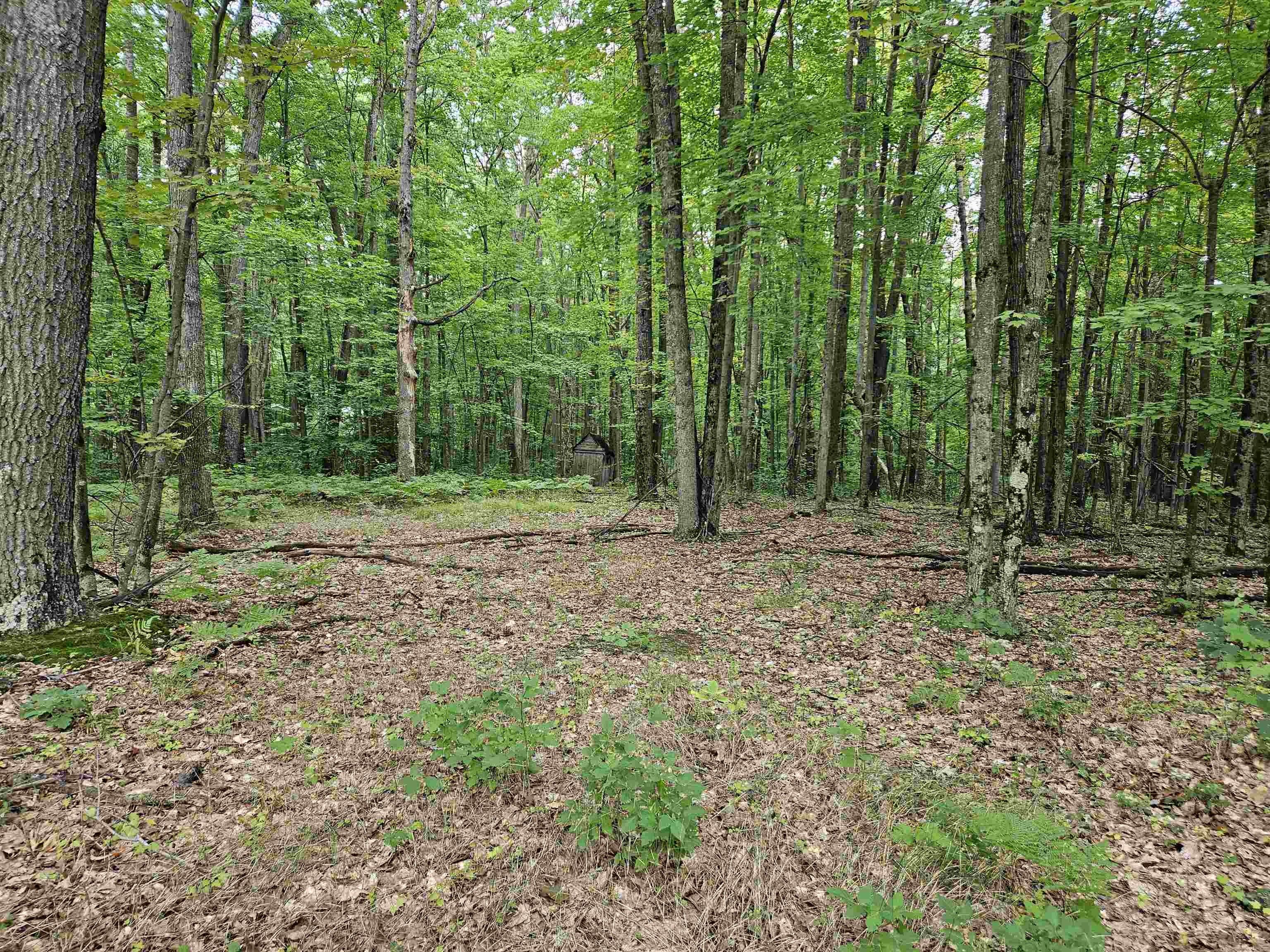 Harrison, Clare County, MI Undeveloped Land for sale Property ID