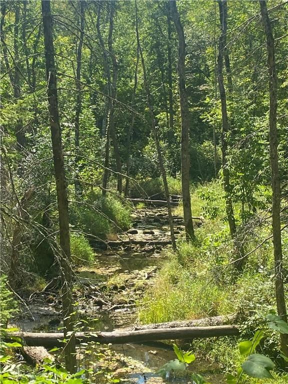 Brevik, Cass County, MN Undeveloped Land for sale Property ID