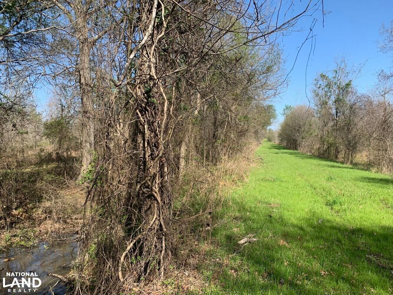 Delhi, Richland Parish, LA Recreational Property, Timberland Property
