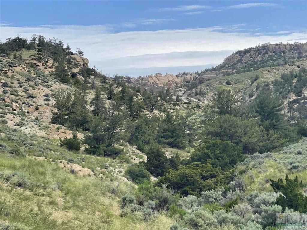 Bridger, Carbon County, MT Undeveloped Land for sale Property ID