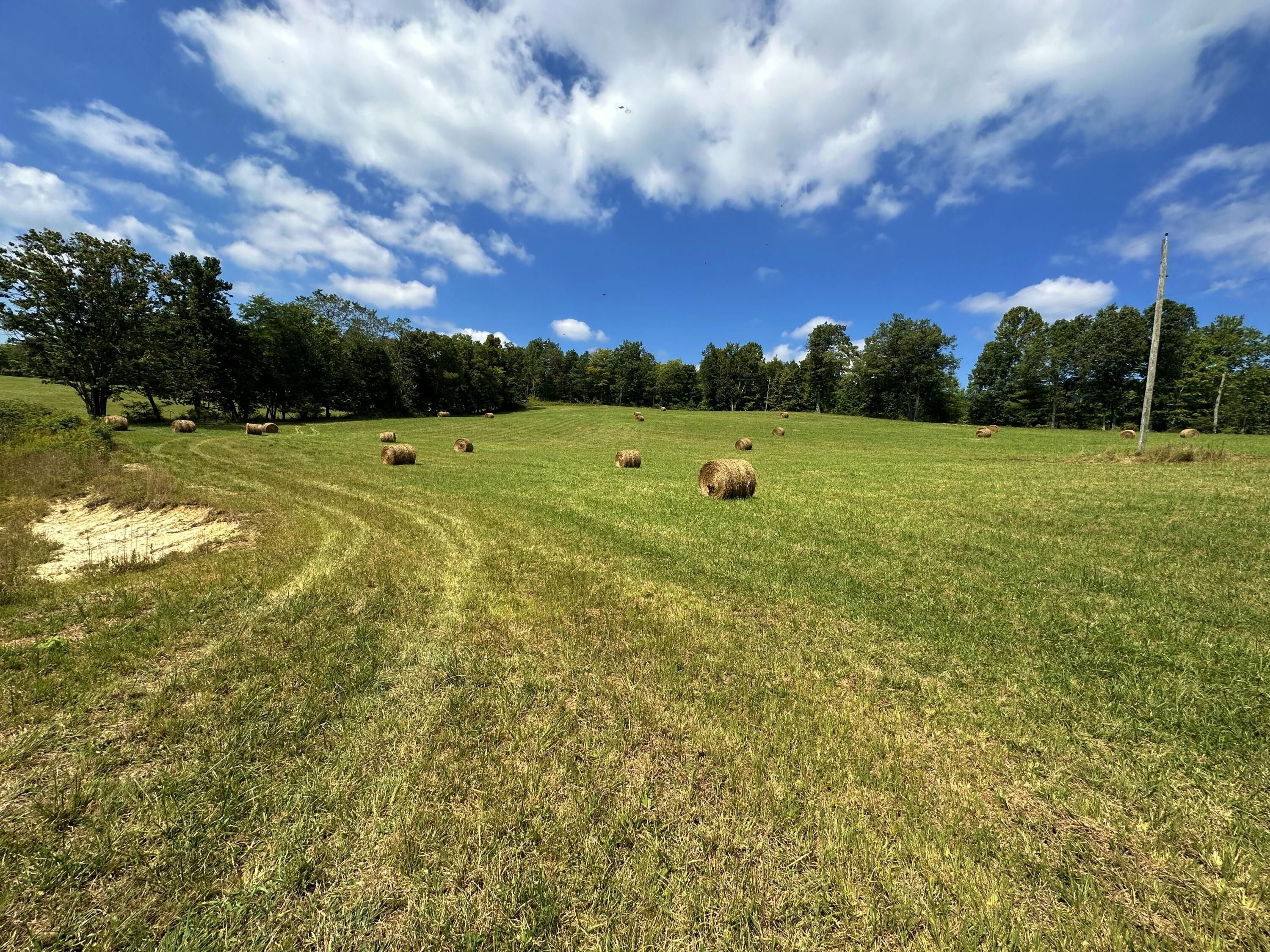 Talcott, Summers County, WV Undeveloped Land for sale Property ID