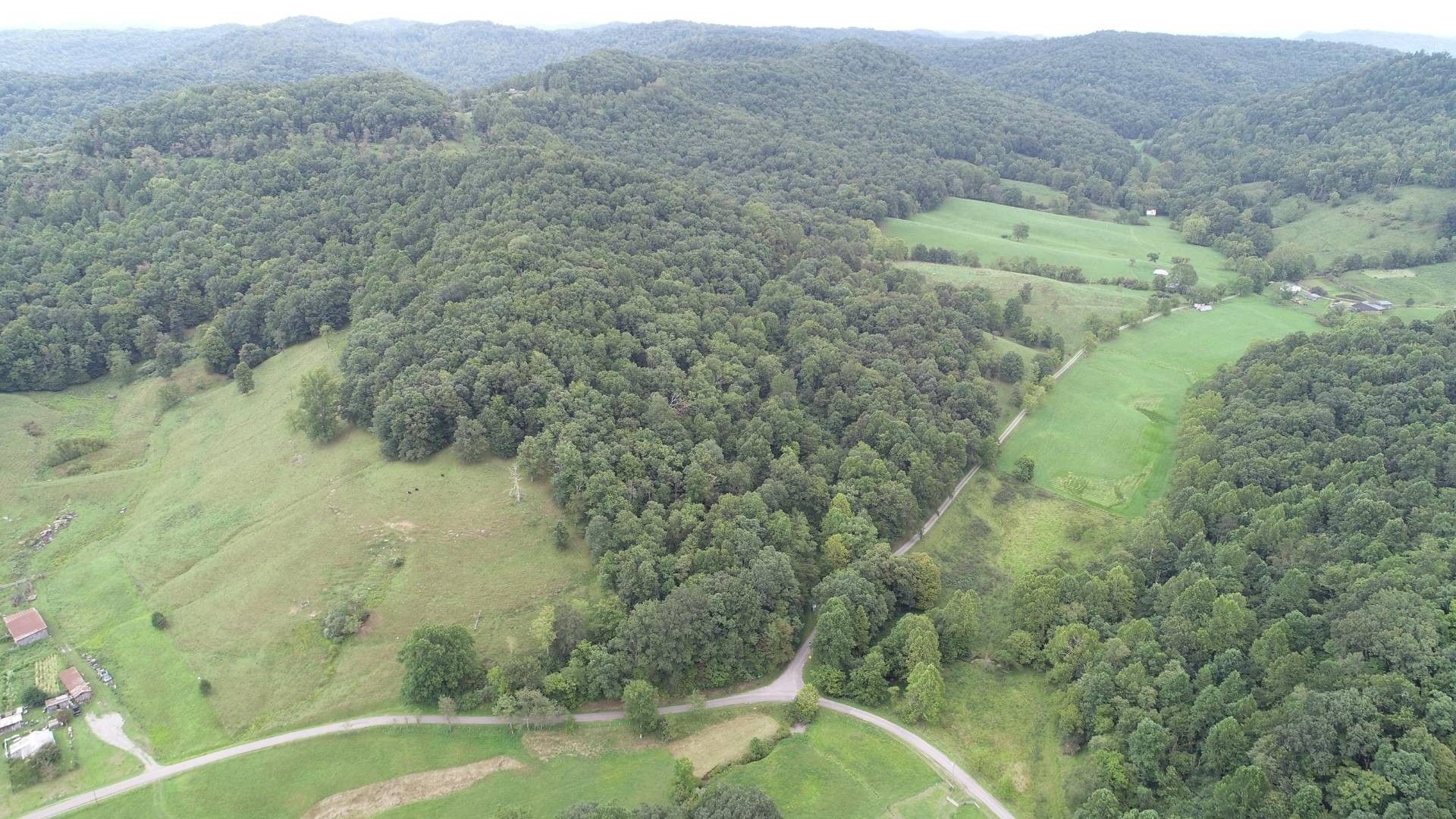 Frametown, Braxton County, WV Undeveloped Land for sale Property ID