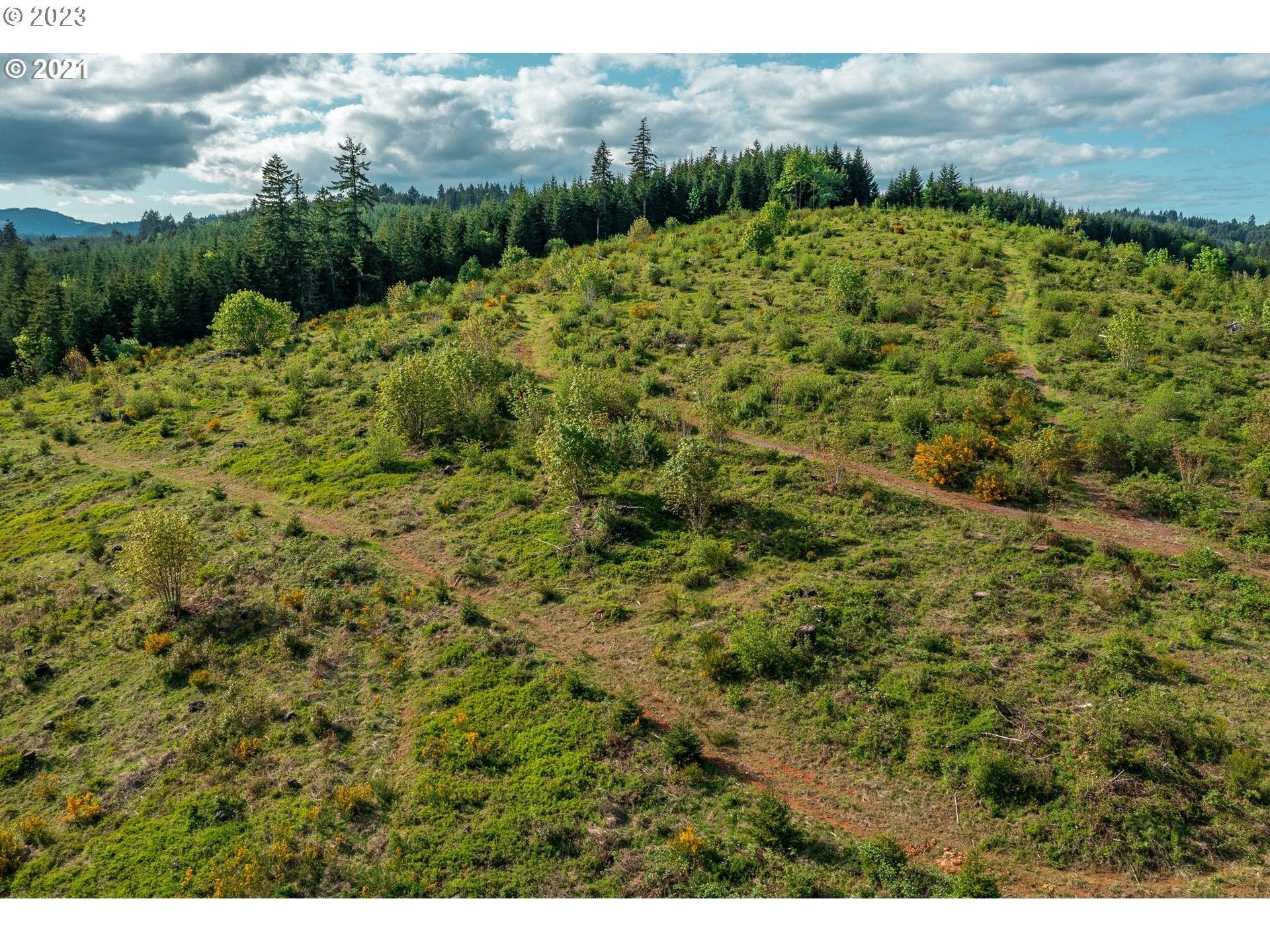 Carlton, Yamhill County, OR Undeveloped Land for sale Property ID