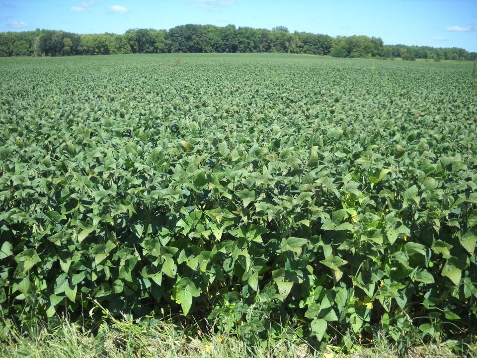 Lincoln, Logan County, IL Farms and Ranches for sale Property ID