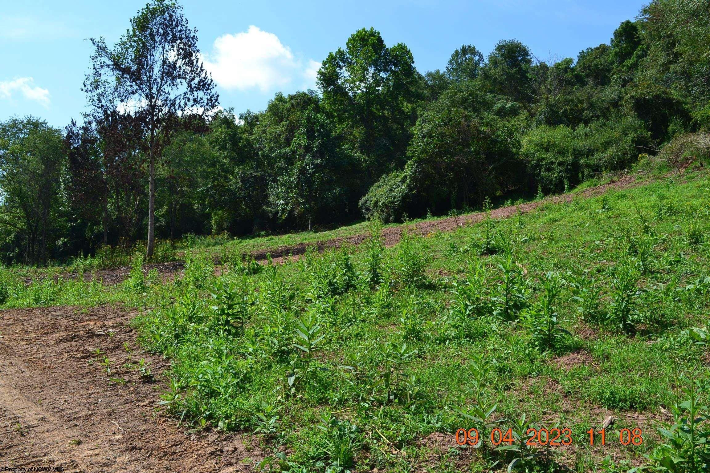 Heaters, Braxton County, WV Undeveloped Land for sale Property ID