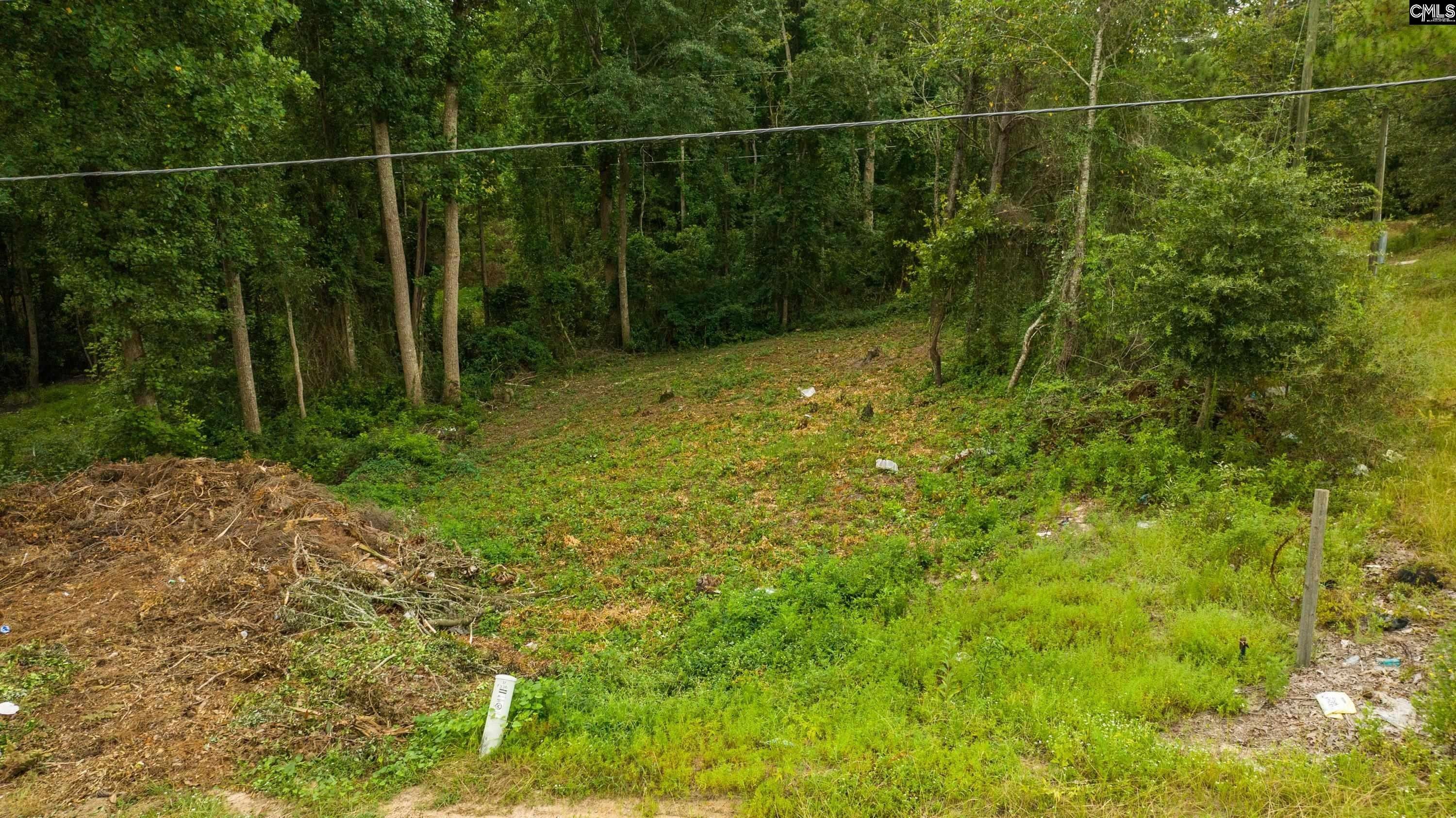 340 Fore Avenue, Columbia, SC 29229 MLS 569801 LandWatch