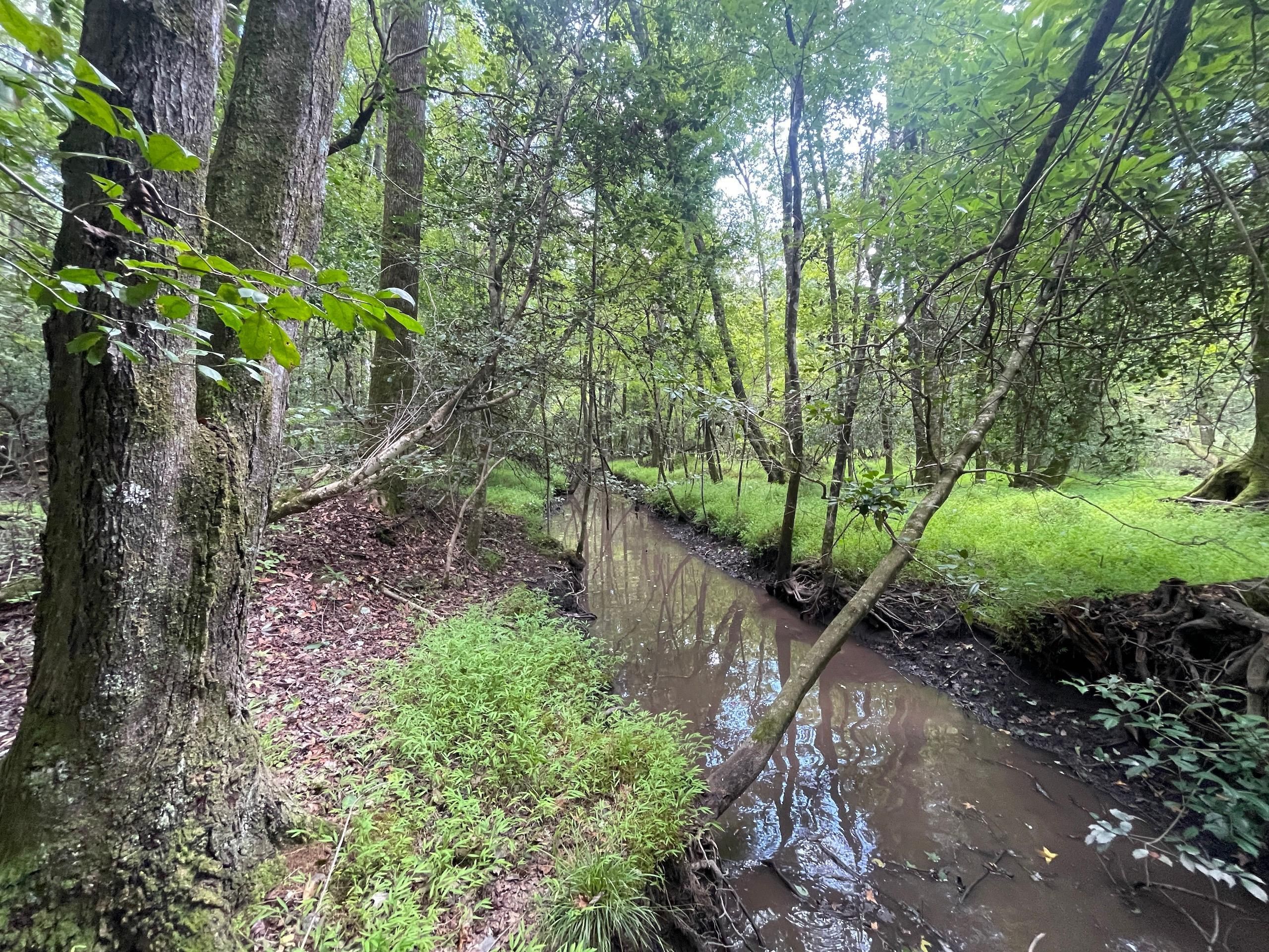 Off Of Highway 102, LotWP001, Vanceboro, NC 28586 LandWatch