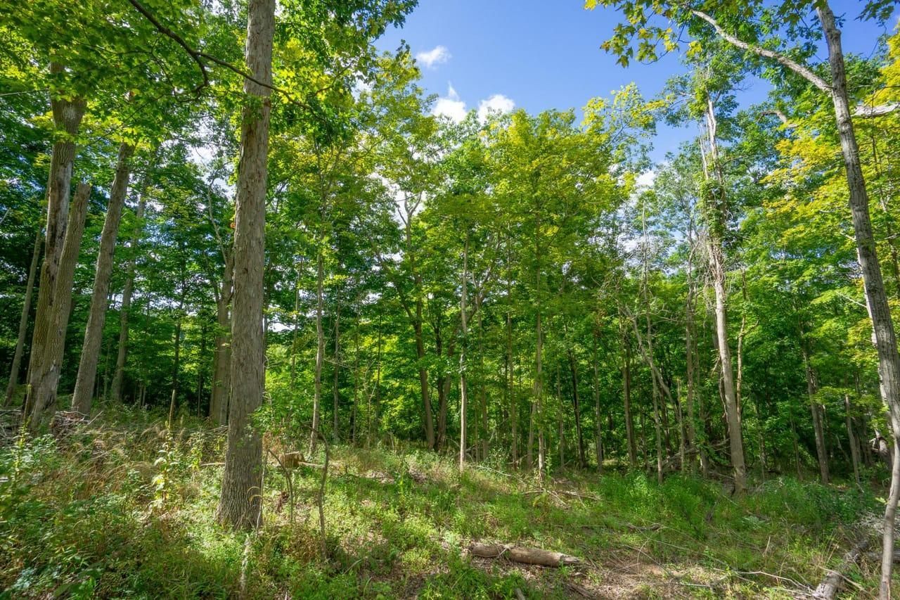 Stewart, Athens County, OH Recreational Property, Hunting Property for