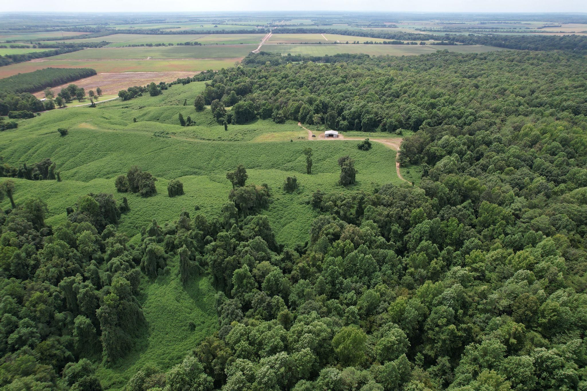 Crenshaw, Panola County, MS Recreational Property, Hunting Property for