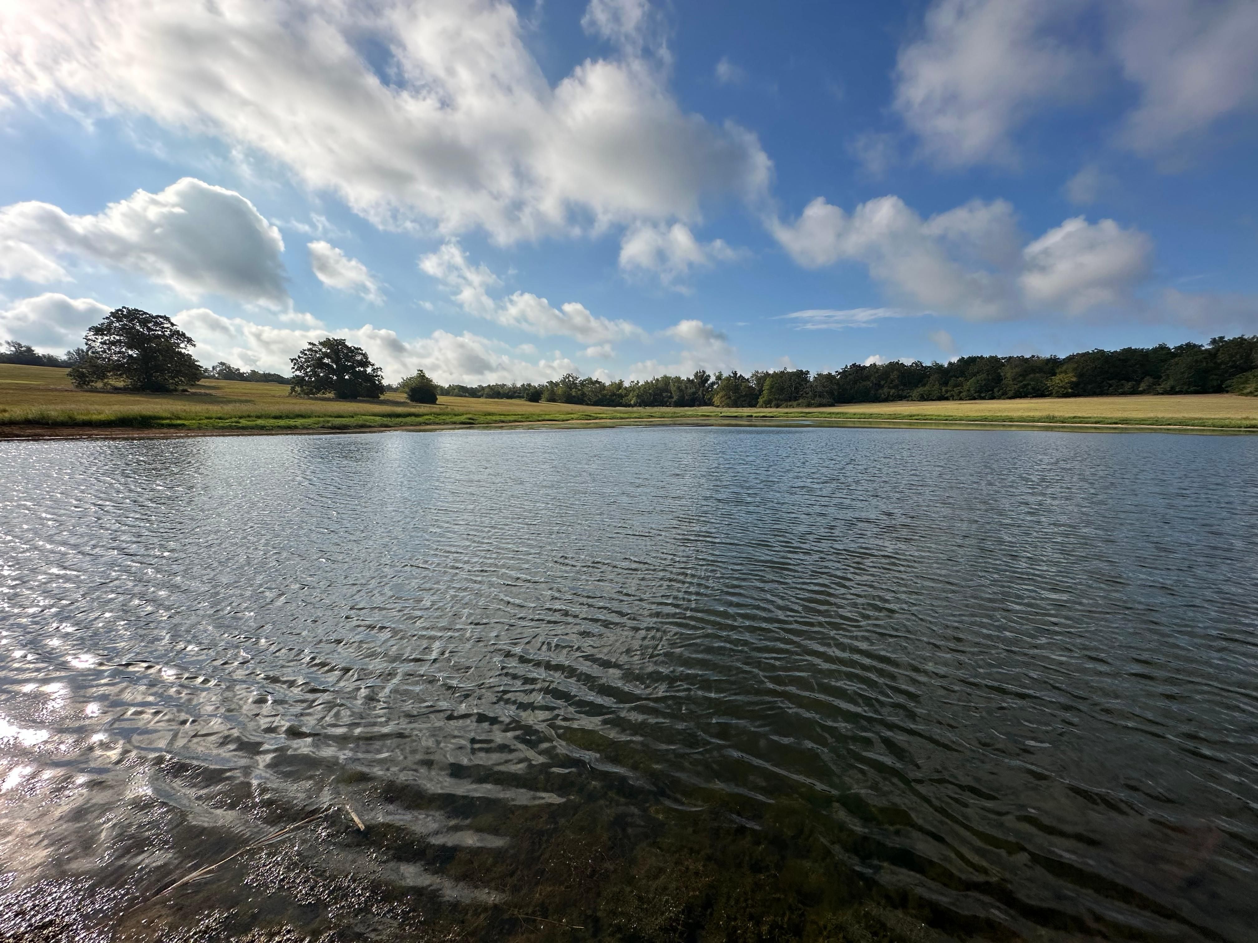 10659 County Road 495, Marquez, TX 77865 LandWatch