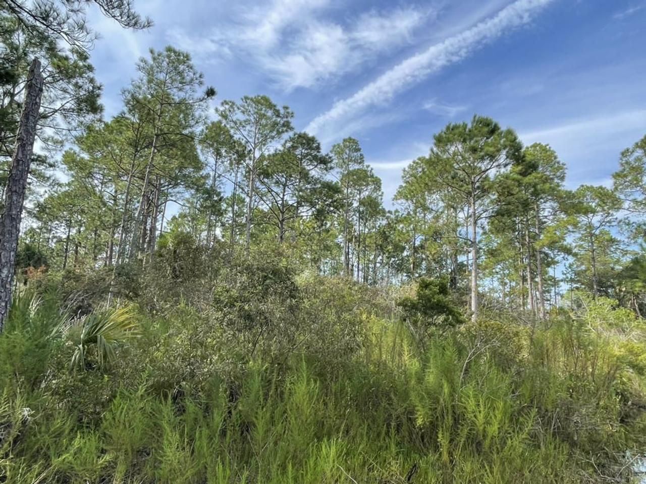 Cedar Key, Levy County, FL Recreational Property, Undeveloped Land