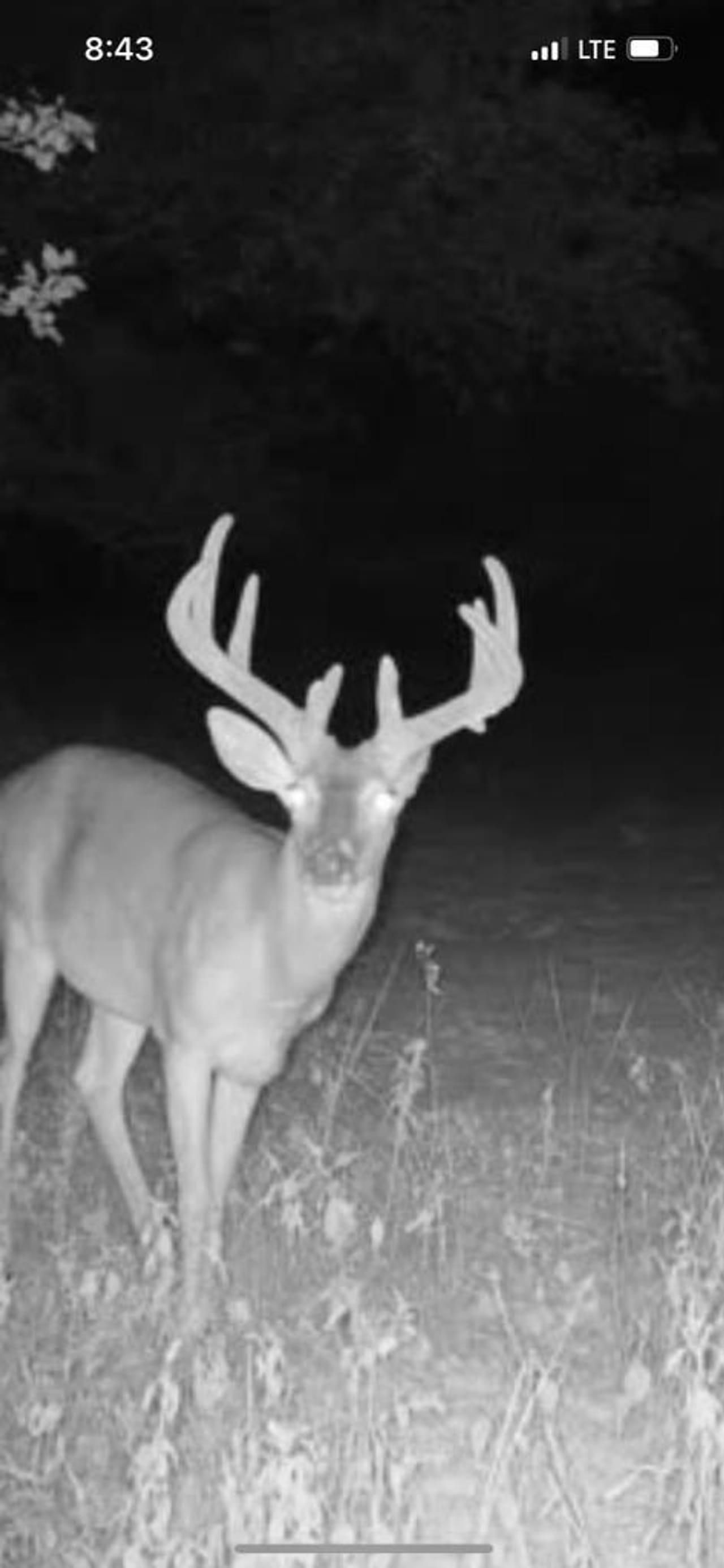 Hamilton, Greenwood County, KS Timberland Property, Undeveloped Land