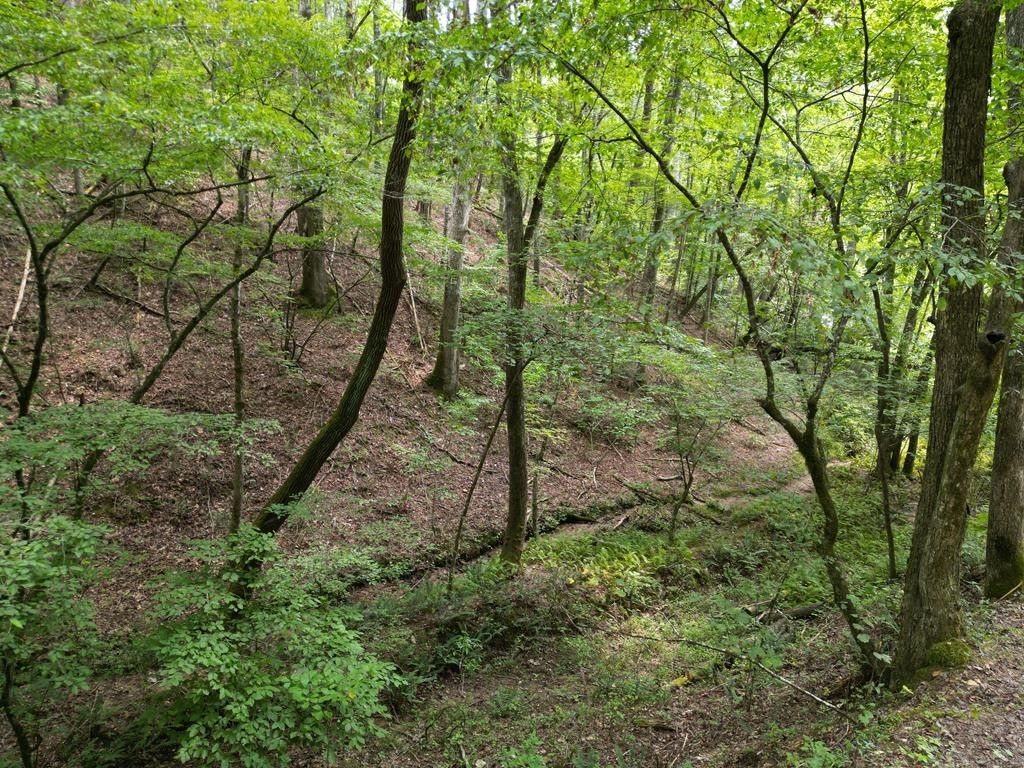 Murphy, Cherokee County, NC Undeveloped Land for sale Property ID