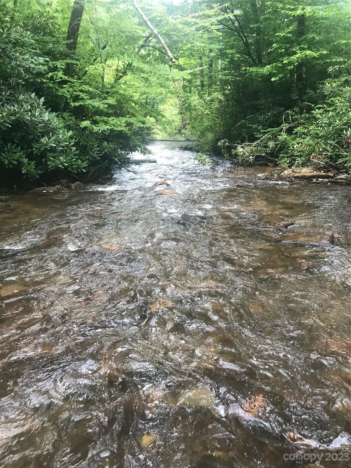 Balsam, Jackson County, NC Undeveloped Land for sale Property ID