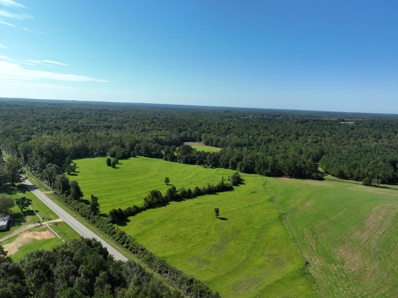 Greenville, Butler County, AL Recreational Property, Hunting Property, Horse Property for sale