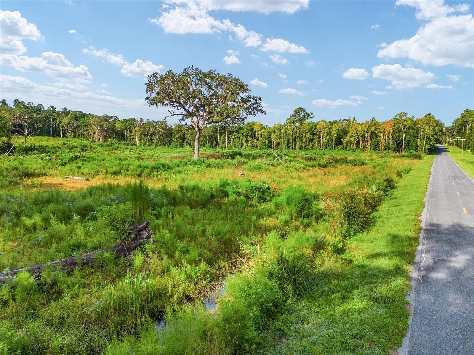 Micanopy, Marion County, FL Undeveloped Land for sale Property ID