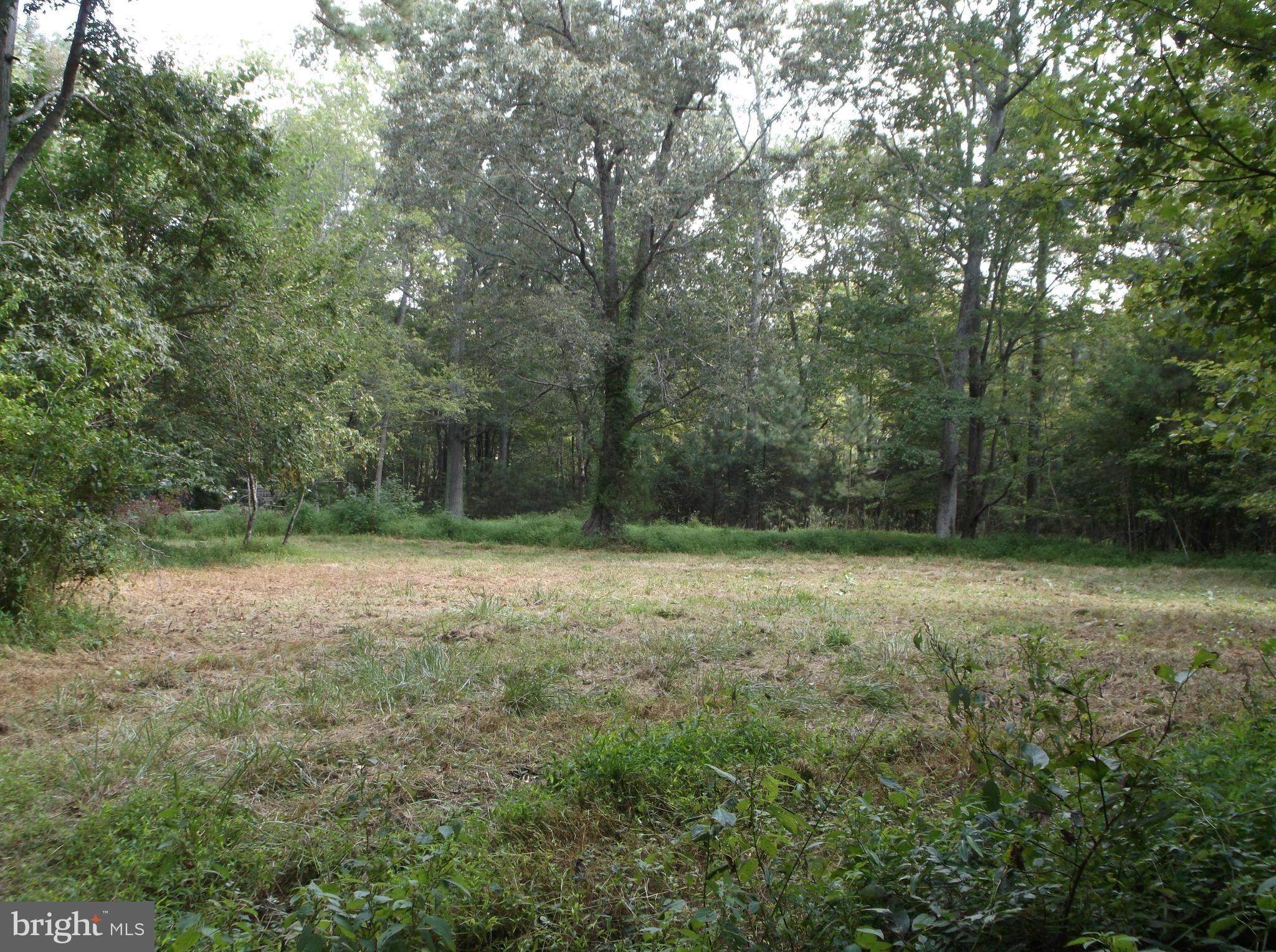Marion, Somerset County, MD Undeveloped Land, Homesites for sale Property ID 417574529 LandWatch