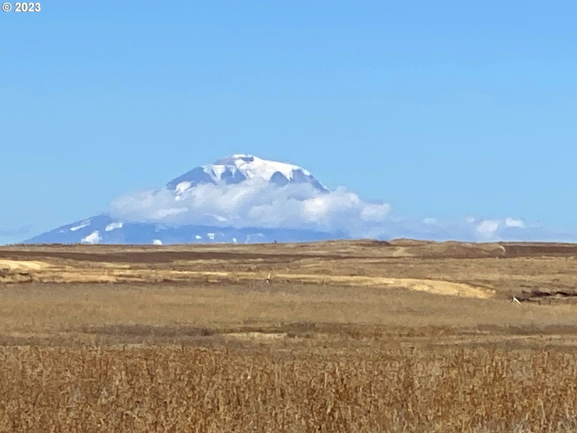 Centerville, Klickitat County, WA Undeveloped Land for sale Property ID