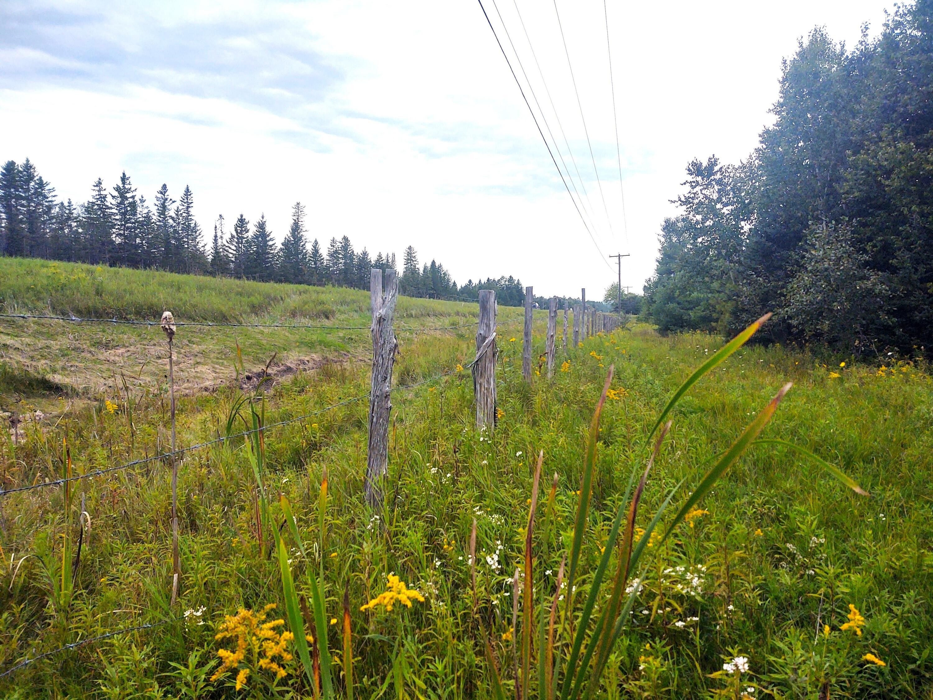 Atlanta, Montmorency County, MI Undeveloped Land for sale Property ID 417576064 LandWatch