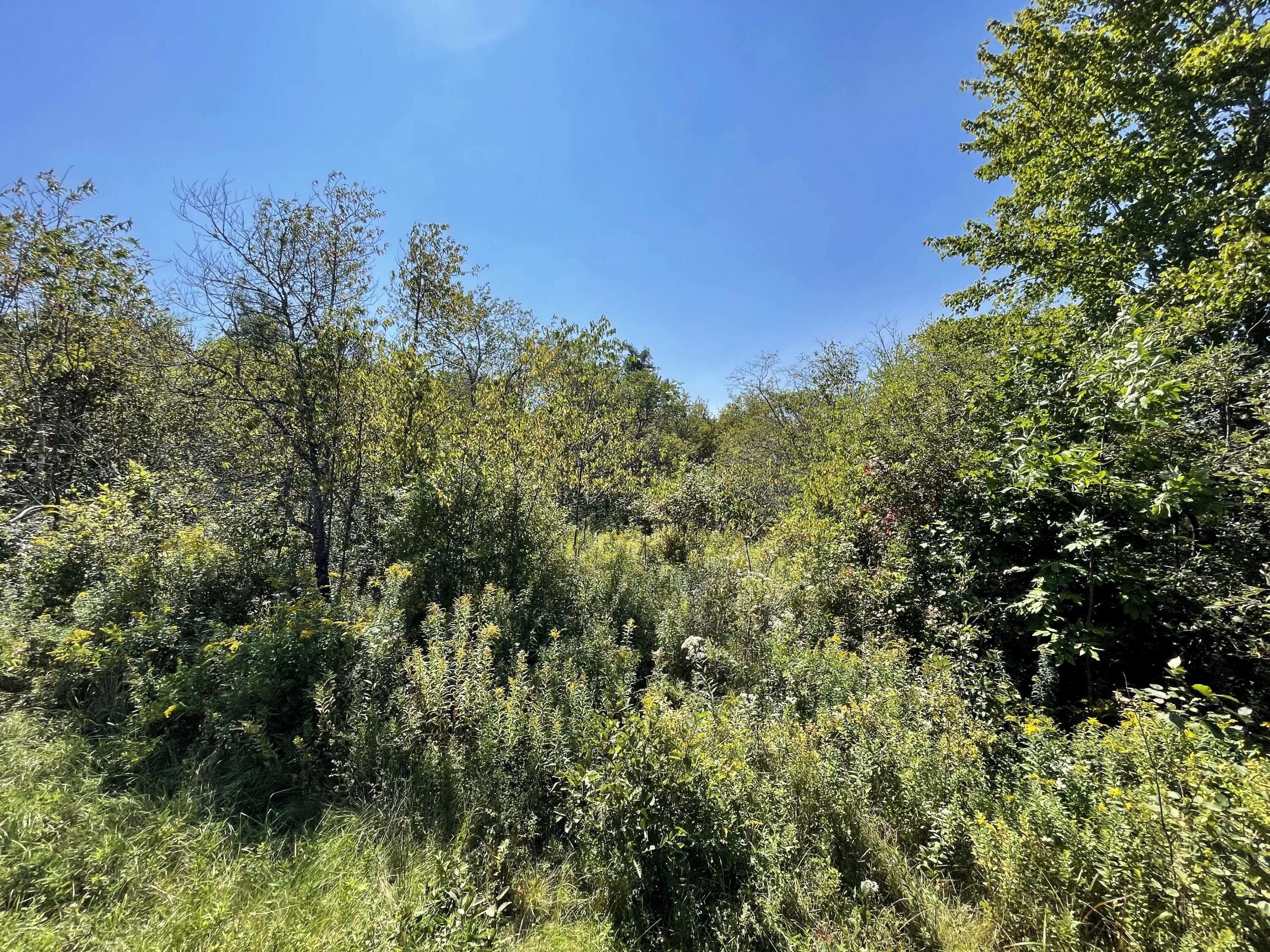 61,261 Hadley Lake Road, East Machias, ME 04630 MLS 1570818