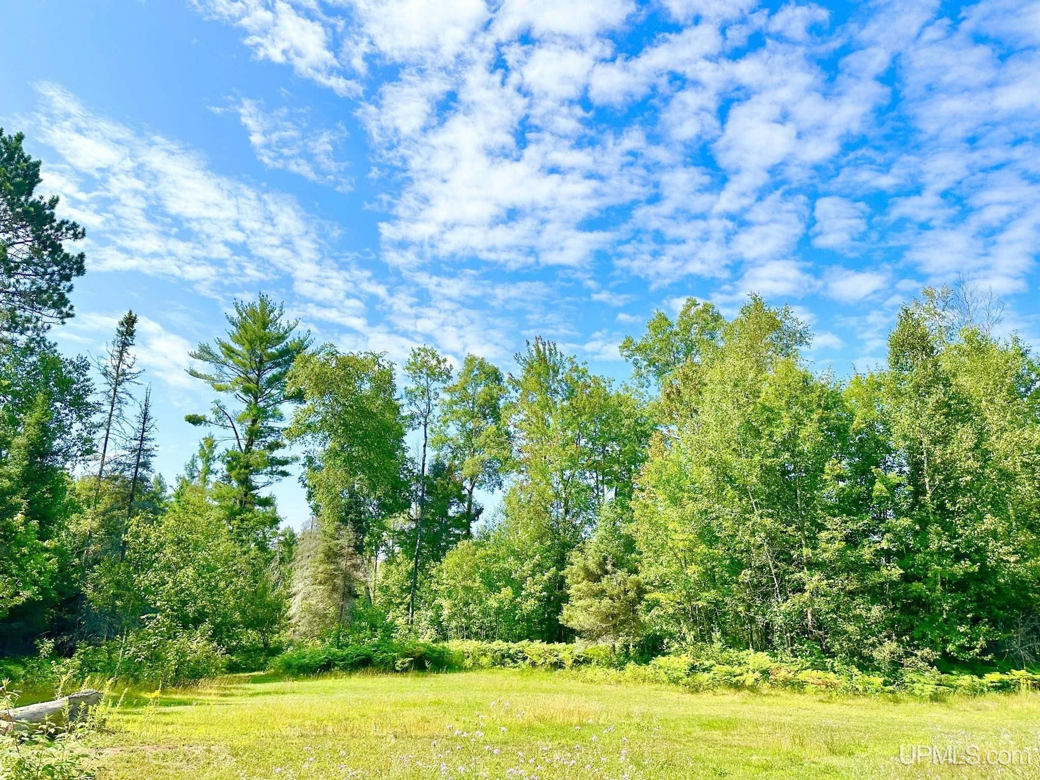 Crystal Falls, Iron County, MI Undeveloped Land for sale Property ID