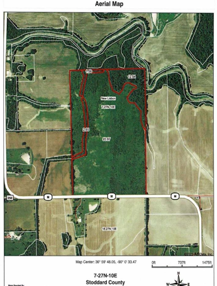 Bloomfield, Stoddard County, MO Undeveloped Land for sale Property ID